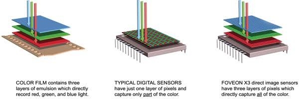 Sensor digital camera identis walaupun harus menangkap gelombang frekwensi cahaya yang berbeda. Hanya dilapisi filter warna saja. Sangat berbeda dengan sensor mata manusia yang mempunyai satu sensor untuk tiap warna (RGB). Gambar dari Digital-Photography-Tip.net