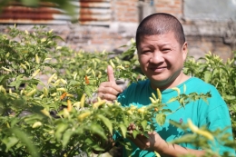 Cabai Rawit sehat produktif (Dokumentasi pribadi)