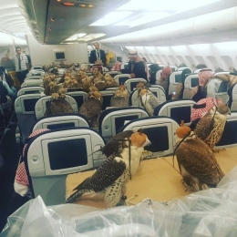 80 Elang milik pangeran Saudi ada di dalam Pesawat. Source: Reddit