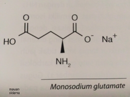 Gambar ikatan molekul MSG (repro buku anguis)
