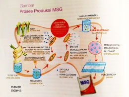 Gambaran sederhana proses pembuatan MSG (repro buku anguis)