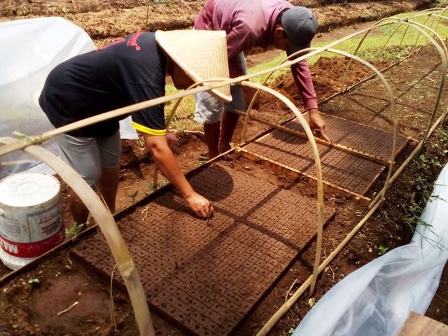 Mengisi benih, dok. Pribadi