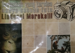 Foto capture dari poster satwa dilindungi, BKSDA KALBAR