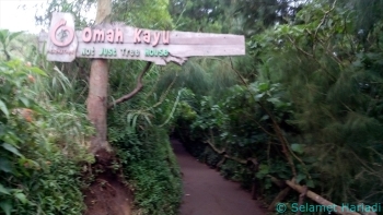 Jelajah Destinasi Wisata Hutan Di Omah Kayu Malang Halaman Jelajah Destinasi Wisata Hutan Di Omah Kayu Malang Halaman