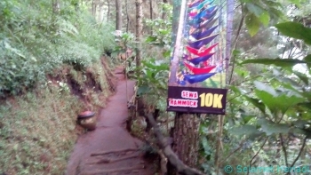 Jelajah Destinasi Wisata Hutan Di Omah Kayu Malang Halaman Jelajah Destinasi Wisata Hutan Di Omah Kayu Malang Halaman