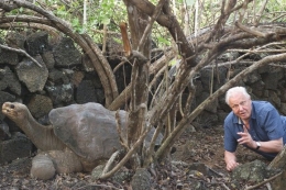 Ketika melakukan reuni dengan kura kura purba di kepulauan Galapagos yang pernah liputnya puluhan tahun yang lalu. Photo: www.ironammonite.com 