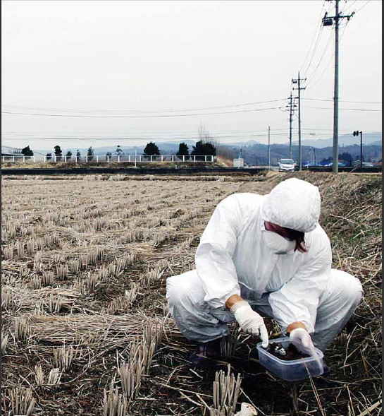Pengambilan sampel tanah di pinggiran kota Fukushima, 60 kilometer dari radius bencana yang masih memiliki kontaminasi radioaktif (Sumber: Greenpeace).