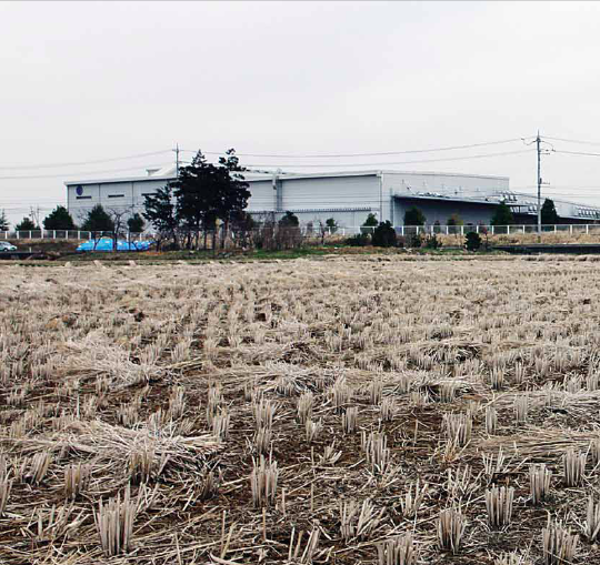 Belajar Dari Bencana Nuklir Fukushima Halaman 1 - Kompasiana.com