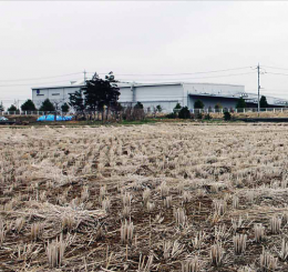 Kondisi pinggiran kota Fukushima, 60 kilometer dari pusat PLTN Fukushima Doichi (Sumber: Greenpeace).