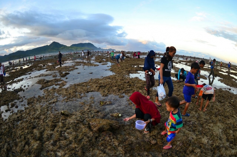 Masyarakat tumpah ruah berburu Nyale (dok. Budi Karyadi/PT.AMNT)