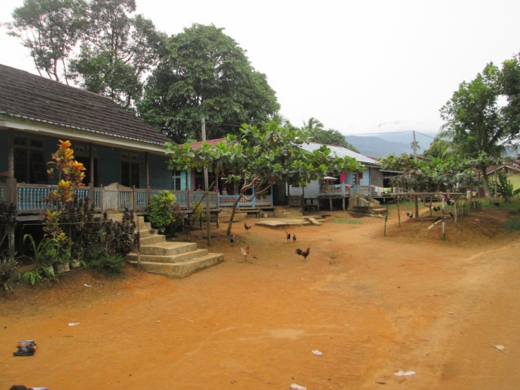 Pemukiman desa Temawang Bulai berlatar bukit Saran 