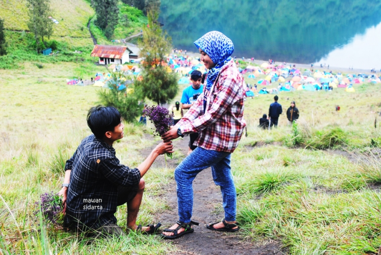 Menyatakan cinta dengan Verbena (dok.pri)