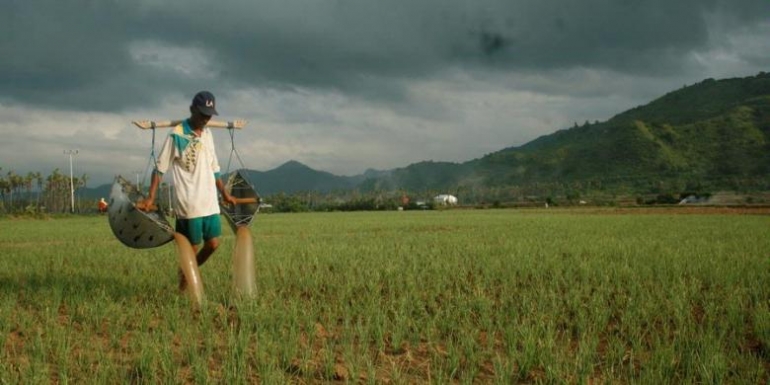 Foto oleh: Cornelius Herlambang, bisniskeuangan.kompas.com