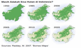 Kalimantan-deforestasi sources Radday M.2007 Borneo Maps