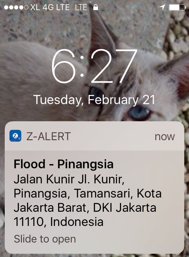 Info banjir di Pinangsia dari Z-Alert. (Foto: Z-Alert)