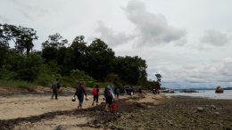 Menyusuri pantai untuk operasi semut sembari pulang. Foto dok. Yayasan Palung