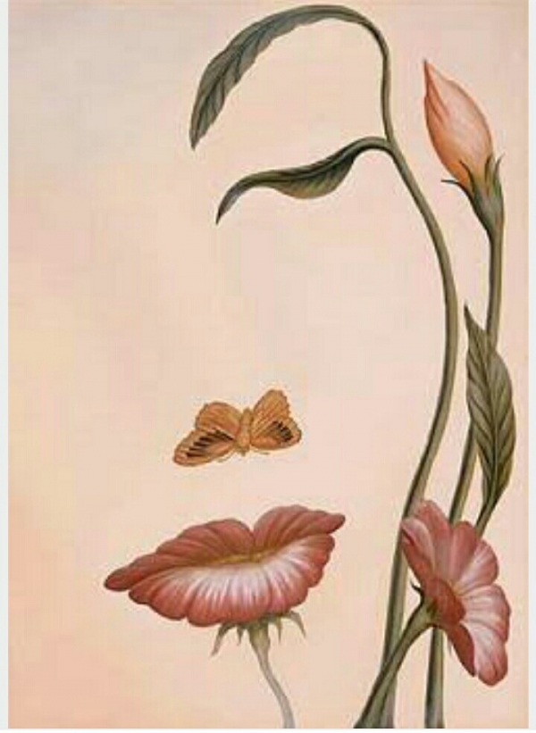 Foto actavius ocampus printing Sumber: https://www.pinterest.com