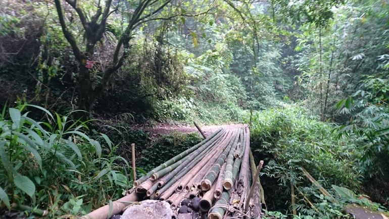 Jembatan bambu setelah mata air