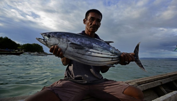 Ikan Cakalang Hasil Tangkapan Di Perairan Kepulauan Morotai Dijual Di Tabelo (sumber foto: Antara/ Fanny Octavianus)