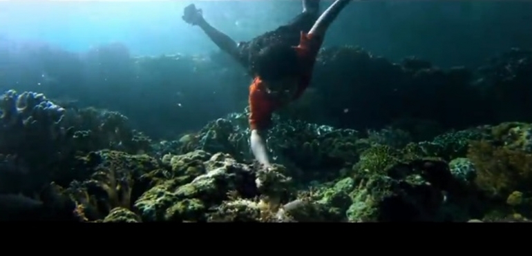 Keindahan bawah laut yang menggoda untuk menyelam (trailerfilmSalawaku)