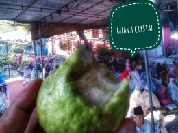 Guava crystal -dokpri