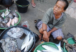 Sumberdaya ikan, modal menuju Poros Maritim (foto: Kamaruddin Azis)