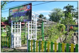 Salah satu kebun sayur di Kabupaten Bantaeng dengan memanfaatkan pekarangan rumah.