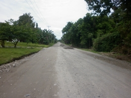 Kondisi Infrastruktur Jaringan Jalan di Distrik Rasiei Kabupaten Teluk Wondam (dokumentasi pribadi)