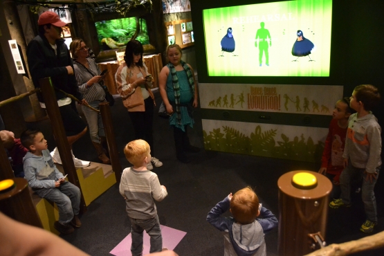 Arena simulasi tarian cenderawasih jantan yang diminati pengunjung terutama anak-anak (dokumentasi pribadi)