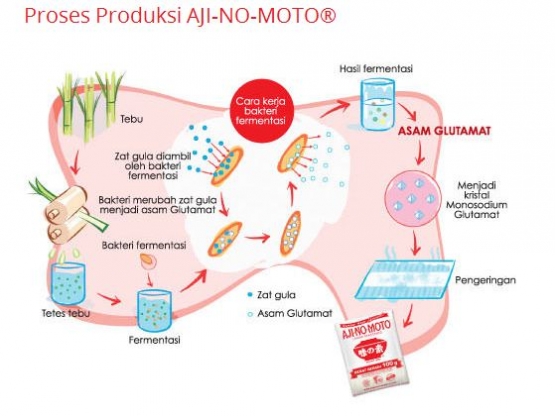 Proses Produksi Ajinomoto/ Ajimomoto.co.id