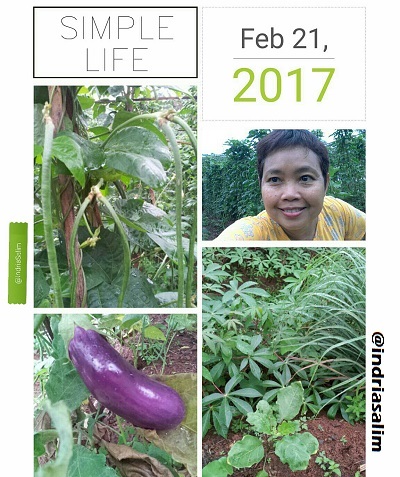 Berkebun atau Memotret adalah rekreasi bermanfaat |dokpri