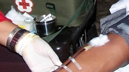 proses donor darah