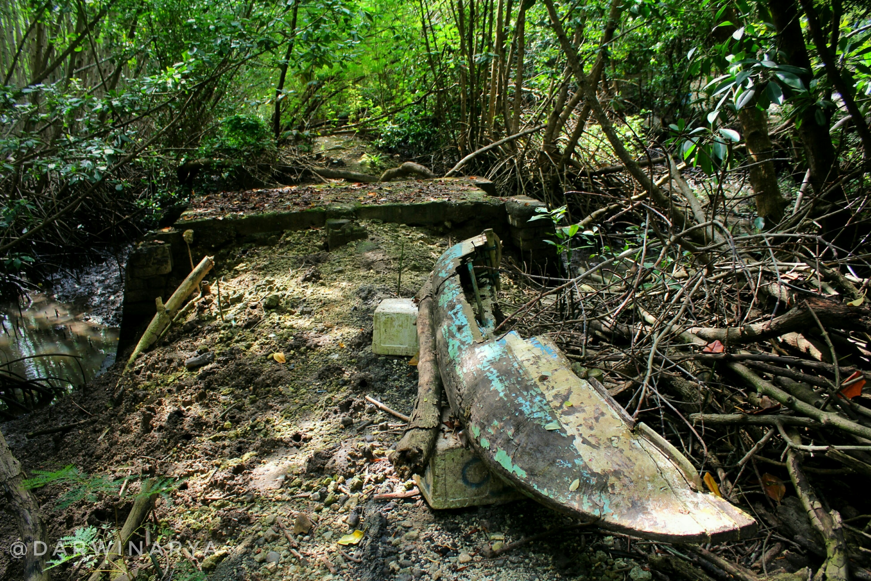 Sebuah Perahu Kano Rusak dan Dibiarkan Ditengah Hutan Mangrove Bali / dap