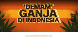 Sumber: http://www.cnnindonesia.com/laporanmendalam/nasional/20160919/demamganja-di-indonesia/index.php