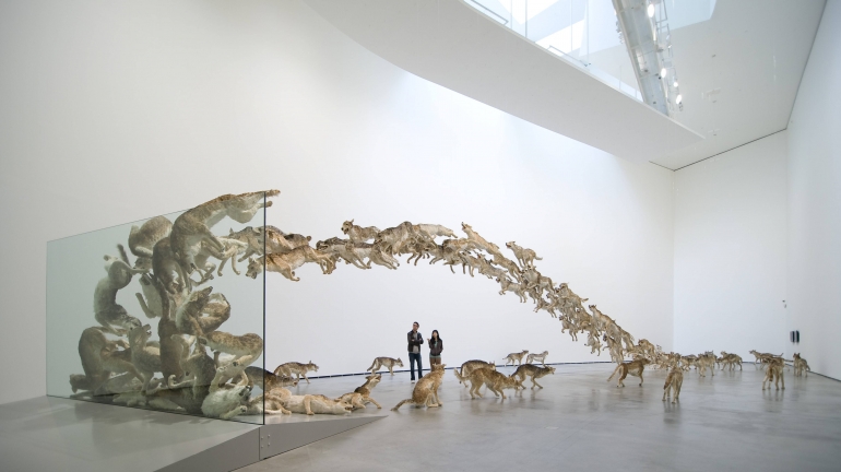 Karya taxidermy yang dipadu dengan karya seni. Photo: i.imgur.com