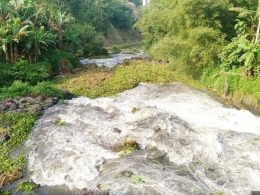 Onggokan enceng gondok di sungai Tuntang (foto: dok pri)