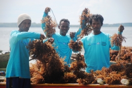 Anggota kelompok dan rumput lautnya (foto: Kamaruddin Azis)