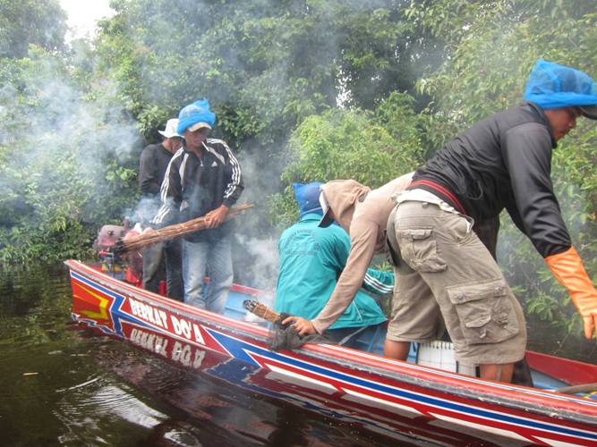 Pengasapan sebelum dilakukan pemanenan. Foto dok. Yayasan Palung