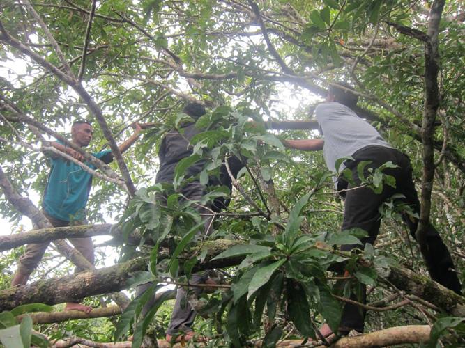 Saat praktek pemasangan tikung. Foto dok. Yayasan Palung