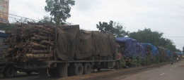 Mobil Log Kayu yang disamarkan dengan tutupan terpal berjejer disepanjang Jalan Lingkar Kota Prabumulih. Foto DOKPRI