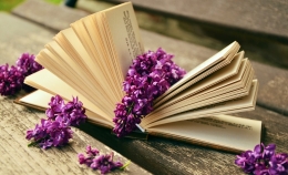 Bunga-bunga bisa memberi semangat untuk membaca, FOTO: pixabay.com