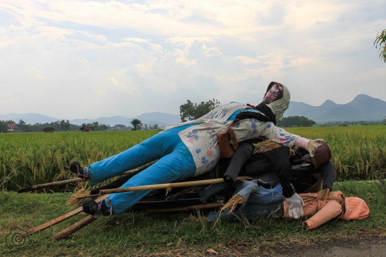 den-den sawah yang sudah berjilbab