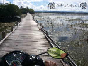 Jembatan Pulau Osi