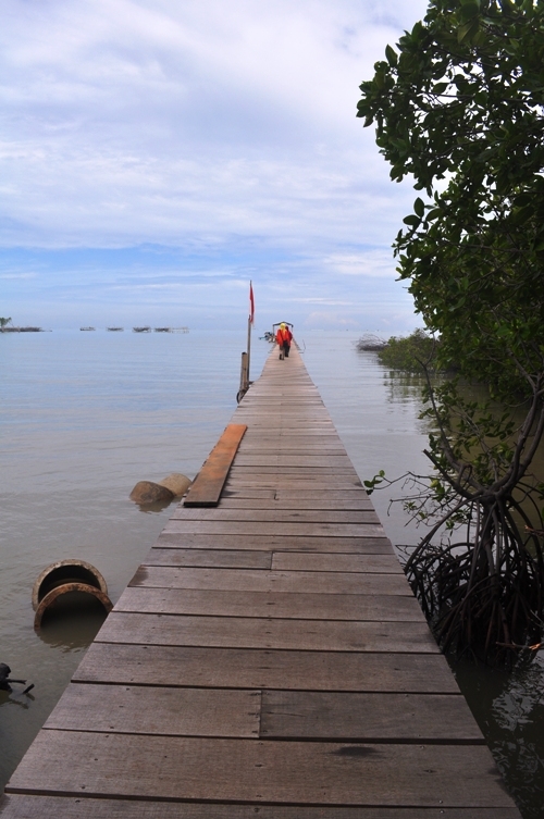 Dermaga hutan mangrove (Dok. Yani)