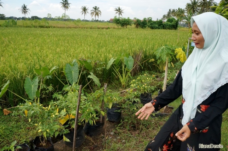 Ibu RW sedang menjelskan tentang tanaman polybag (Dok.Pri)