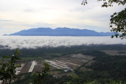 Pemandangan dari Puncak Batu Bulan. Foto dok. Wahyu Susanto, YP