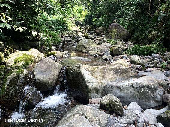 Sungai Ciapus alit berair jernih di Calobak yang sayangnya juga sering dijadikan tempat pembuangan sampah oleh warga, karena ketiadaan pengelolaan sampah di kampung ini