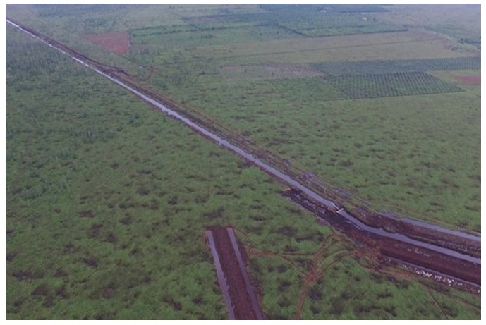 Pembangunan kanal di Sungai Putri mengancam habitat orangutan dan rentan kebakaran lahan. foto capture via BBC Indonesia