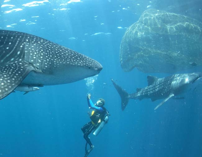 sumber : beritaterbaru24h.com