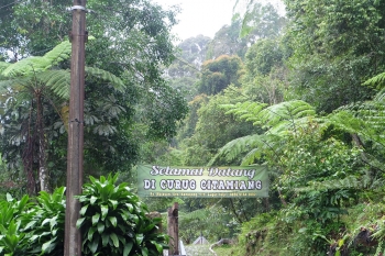 Keindahan Alam Kecamatan Nanggung Bogor Kompasiana Com Keindahan Alam Kecamatan Nanggung Bogor Kompasiana Com